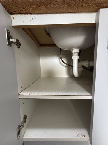 IMG_3591.jpeg IMG_3591.jpeg