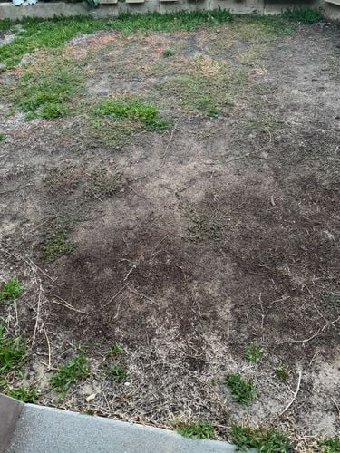 IMG_7658.jpeg IMG_7658.jpeg