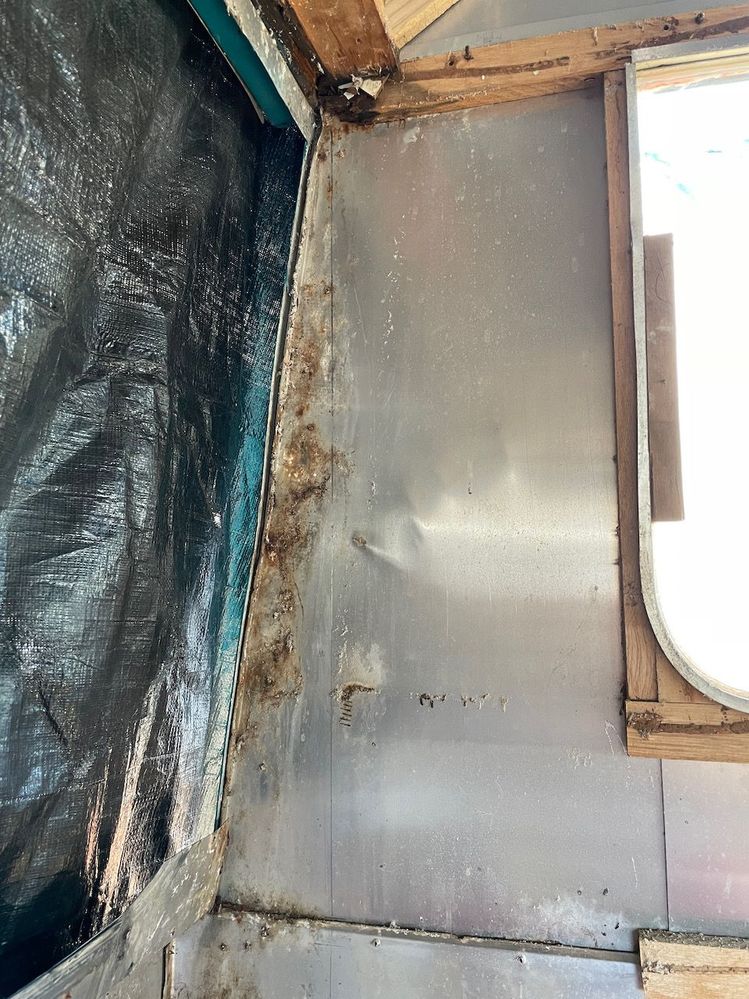 IMG_0254.jpeg IMG_0254.jpeg