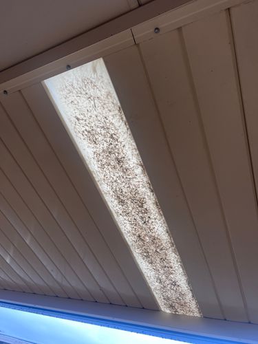 IMG_0638.jpeg IMG_0638.jpeg