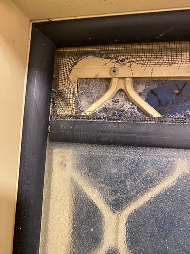 IMG_9019.jpeg IMG_9019.jpeg