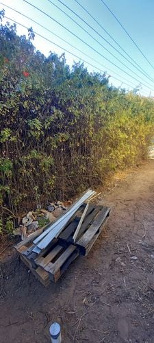 20240525_122107.jpg 20240525_122107.jpg