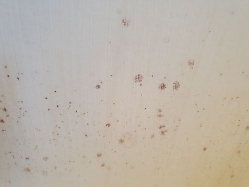 20210109_130428.jpg 20210109_130428.jpg