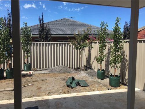 IMG_1227.jpeg IMG_1227.jpeg