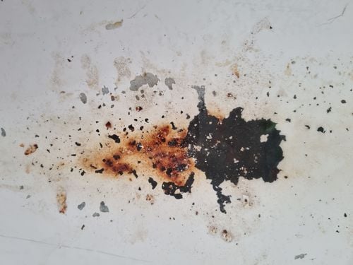 1000010905.jpg 1000010905.jpg