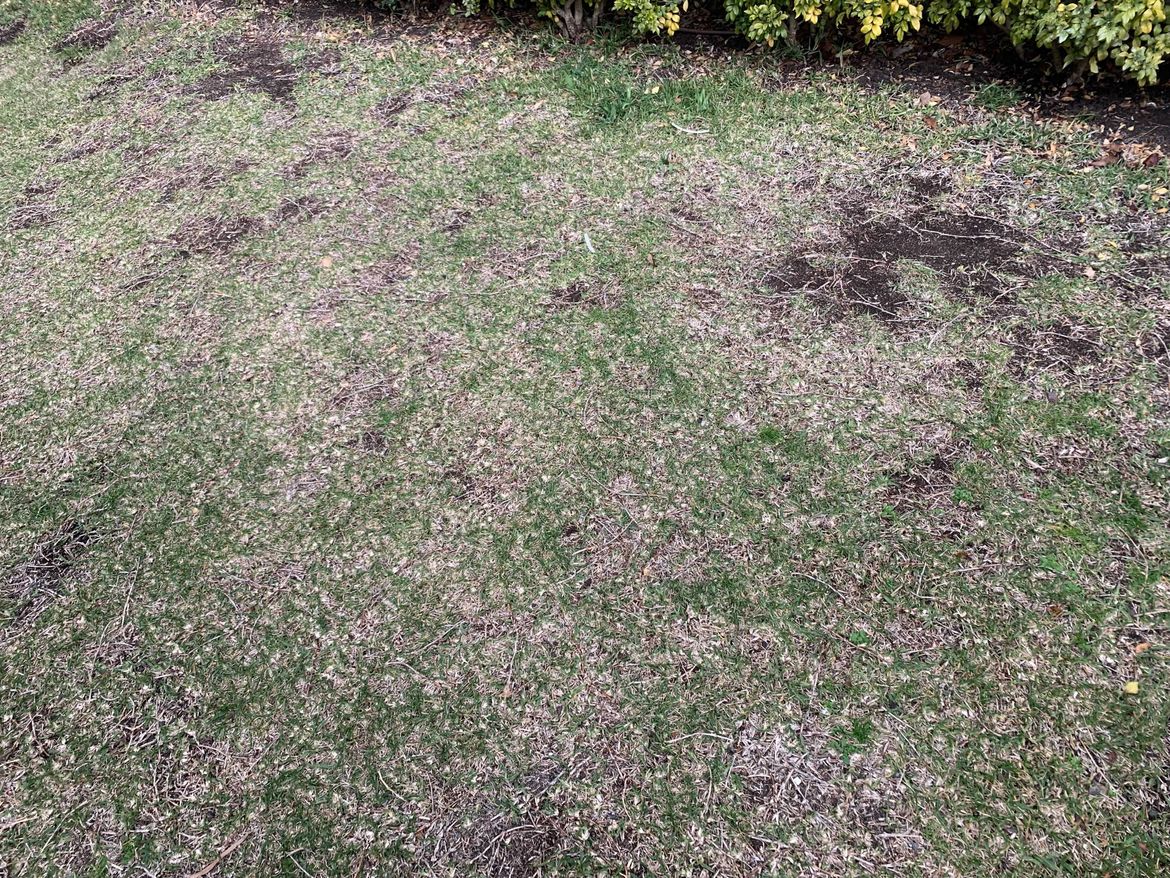 Image from iOS (2).jpg Image from iOS (2).jpg