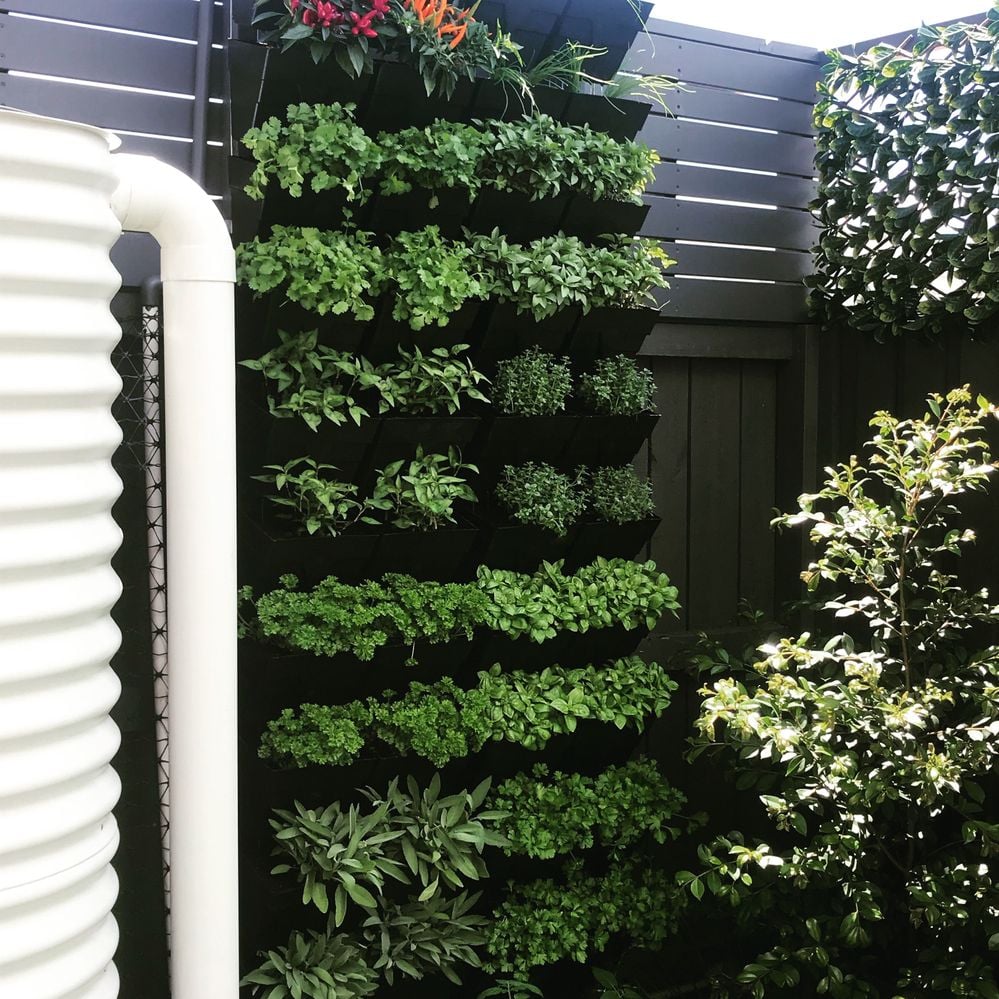 0615F69B-BD51-4DD9-ABB6-0DBCE9C34F1F.jpeg 0615F69B-BD51-4DD9-ABB6-0DBCE9C34F1F.jpeg