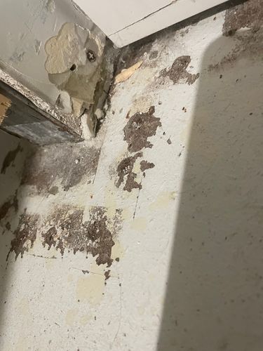 IMG_9539.jpeg IMG_9539.jpeg