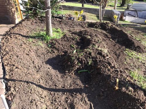 97 11-09-2022.jpg 97 11-09-2022.jpg