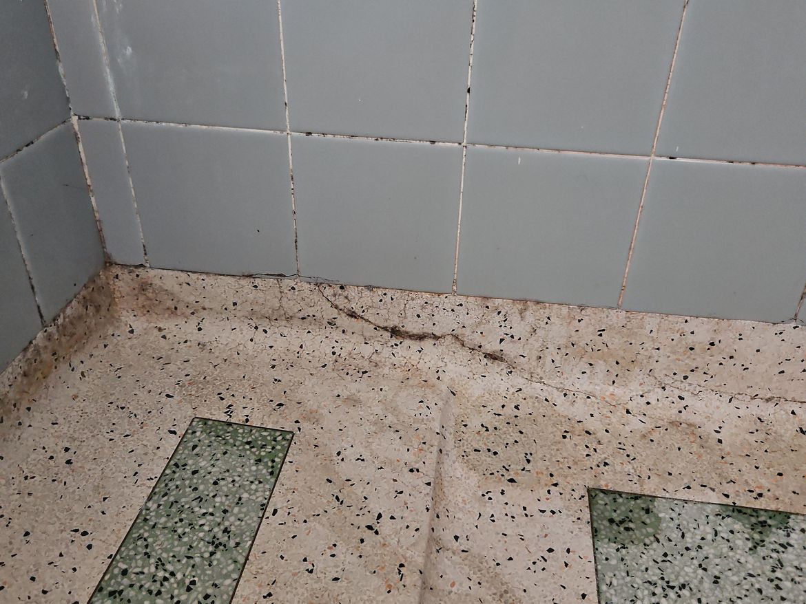 9c7b407f-3543-4030-8ecf-c67c3e788e53.jpg 9c7b407f-3543-4030-8ecf-c67c3e788e53.jpg