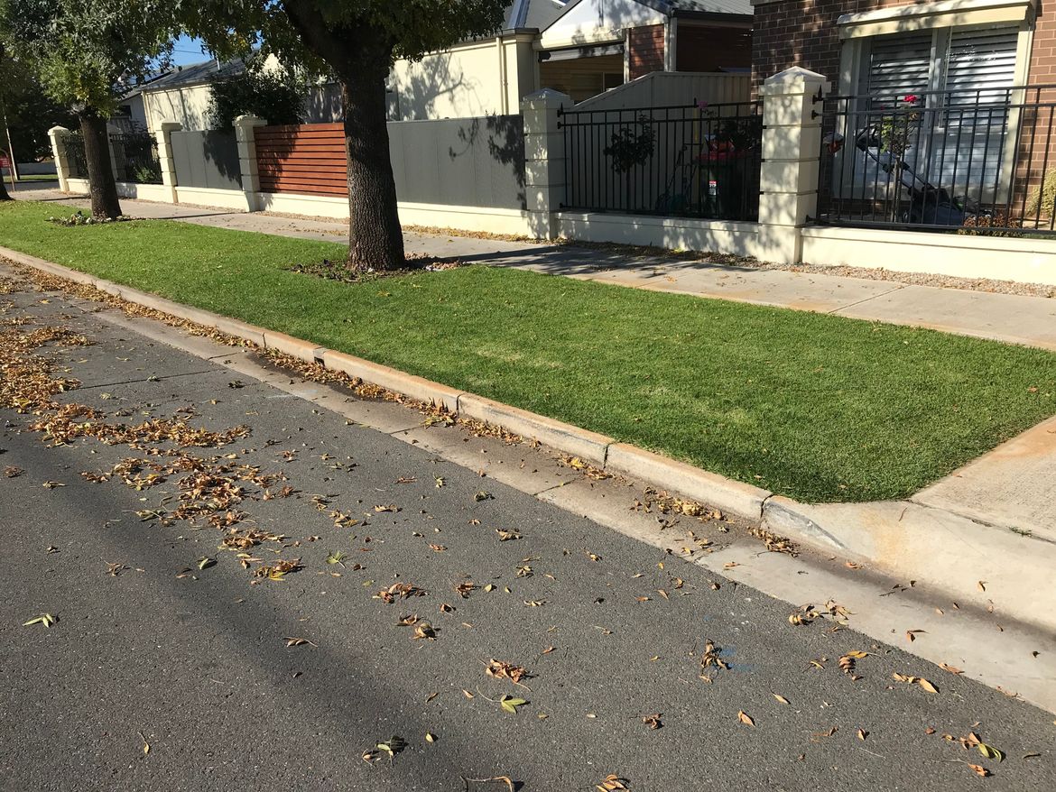 IMG_0209.jpeg IMG_0209.jpeg