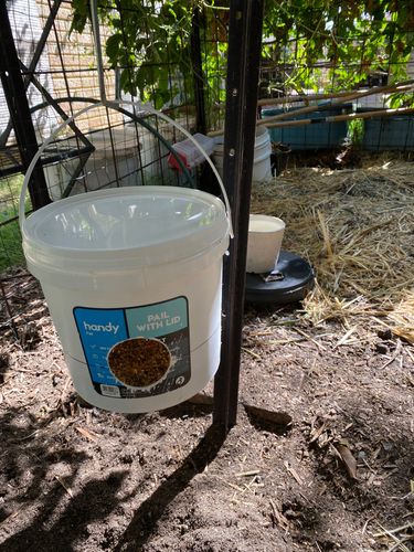 IMG_7594.jpeg IMG_7594.jpeg