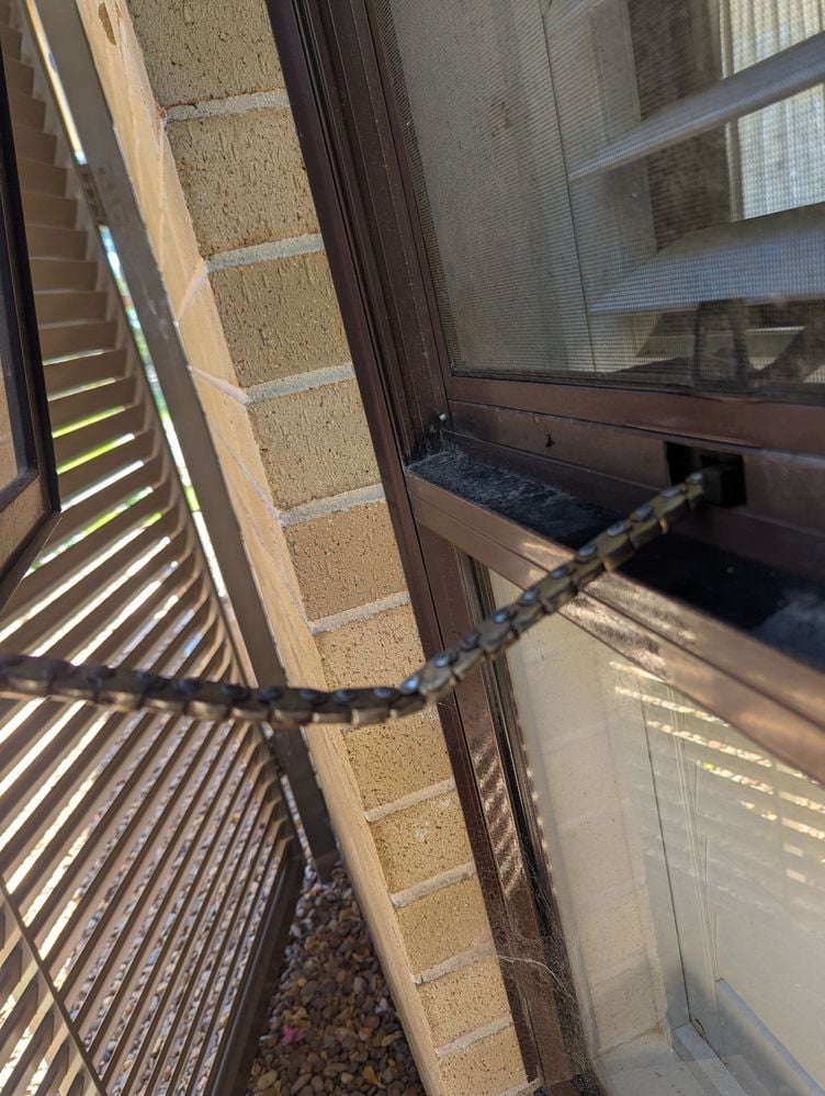 PXL_20241107_233527855.jpg PXL_20241107_233527855.jpg