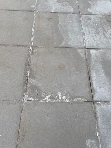 IMG_7793.jpeg IMG_7793.jpeg