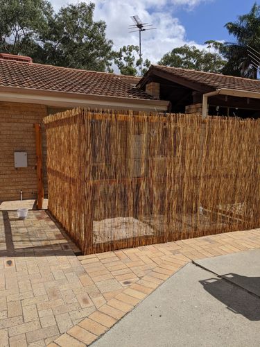 IMG_20200423_120538.jpg IMG_20200423_120538.jpg