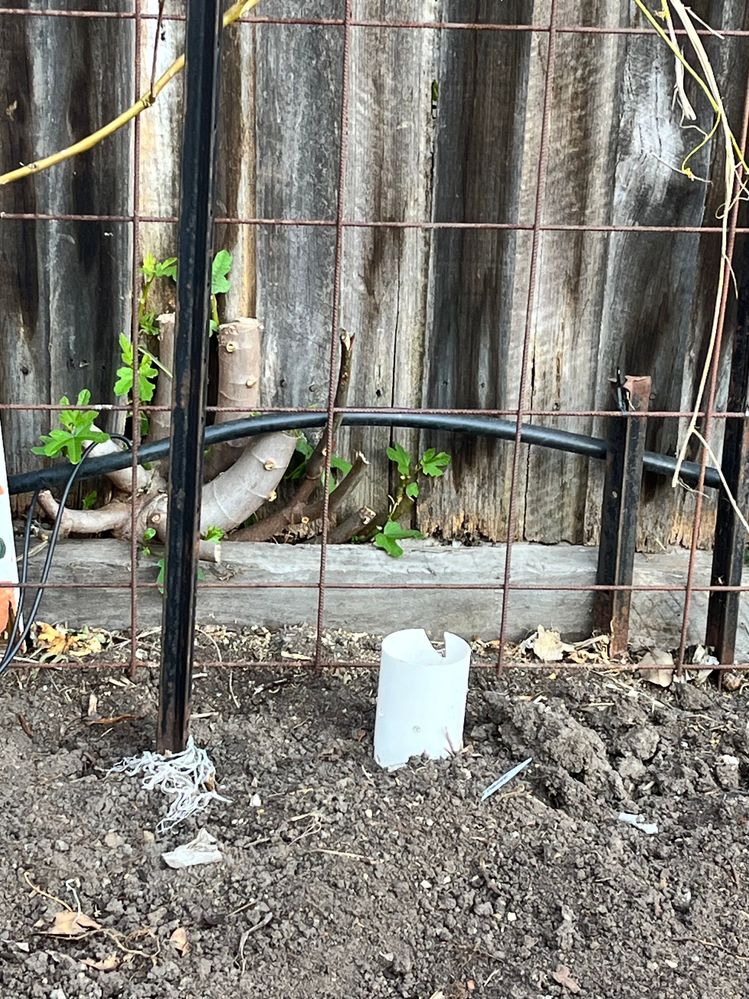 IMG_0380.jpg IMG_0380.jpg