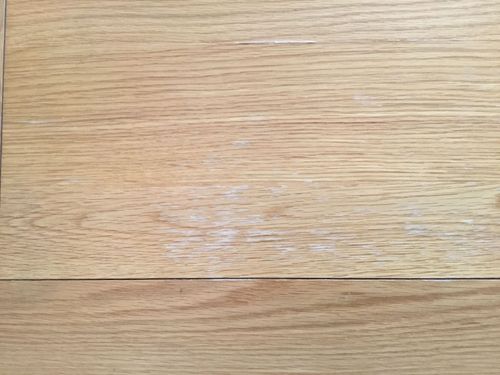 91E6CA00-E484-4A92-9830-026F1990895C.jpeg 91E6CA00-E484-4A92-9830-026F1990895C.jpeg