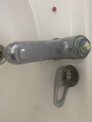 IMG_0313.jpeg IMG_0313.jpeg