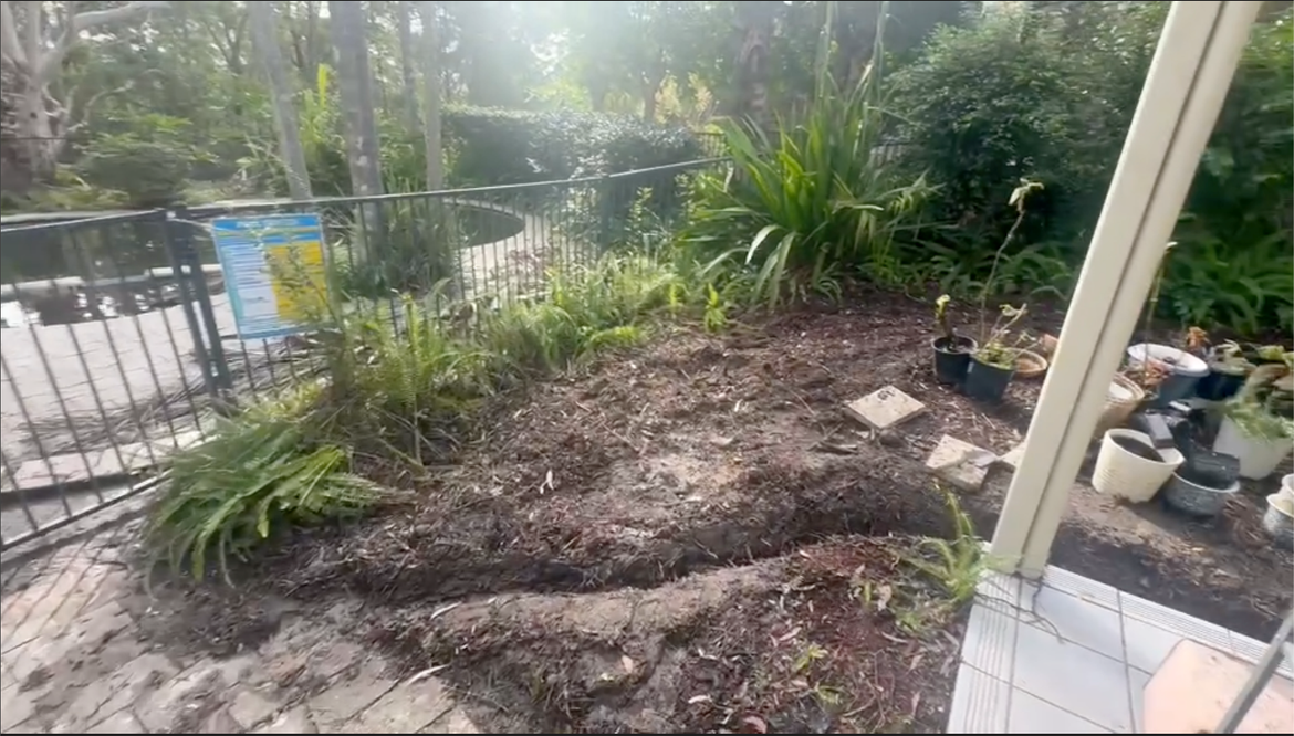 Screenshot 2025-06-04 at 10.39.16 pm.png Screenshot 2025-06-04 at 10.39.16 pm.png