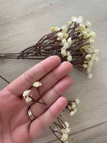 635F7074-11E9-4348-AA93-3D3C0570D56C.jpeg 635F7074-11E9-4348-AA93-3D3C0570D56C.jpeg