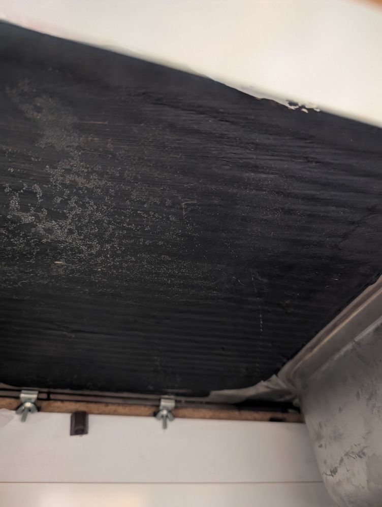 PXL_20250124_101831450.jpg PXL_20250124_101831450.jpg