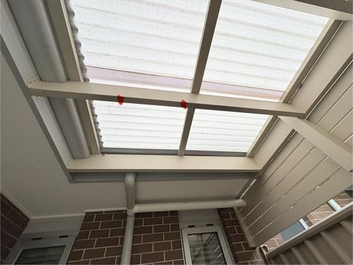 IMG_7171.jpeg IMG_7171.jpeg