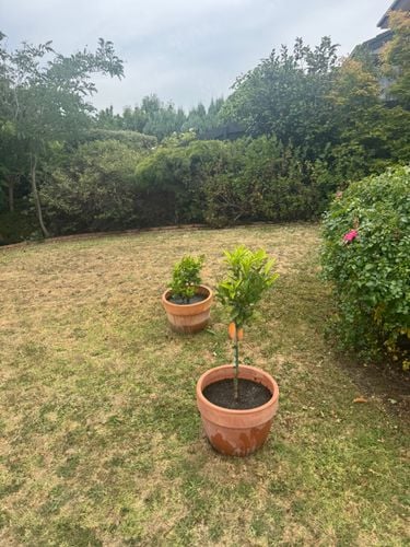 IMG_7742.jpeg IMG_7742.jpeg