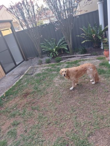 20250918_172824.jpg 20250918_172824.jpg