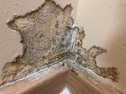 IMG_3703.jpeg IMG_3703.jpeg