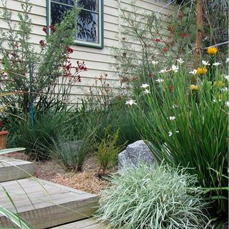 IMG_4222.jpg IMG_4222.jpg