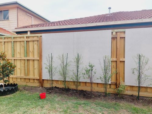 20230309_110820.jpg 20230309_110820.jpg