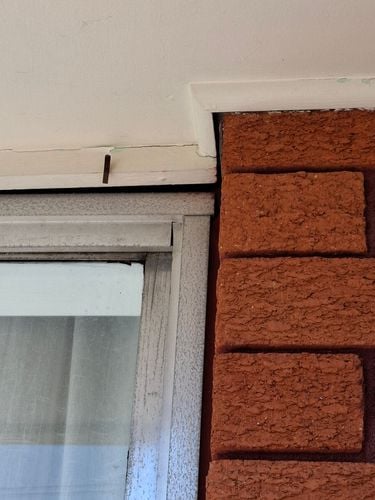 1000041175.jpg 1000041175.jpg