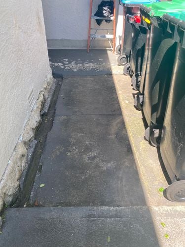 IMG_0379.jpeg IMG_0379.jpeg