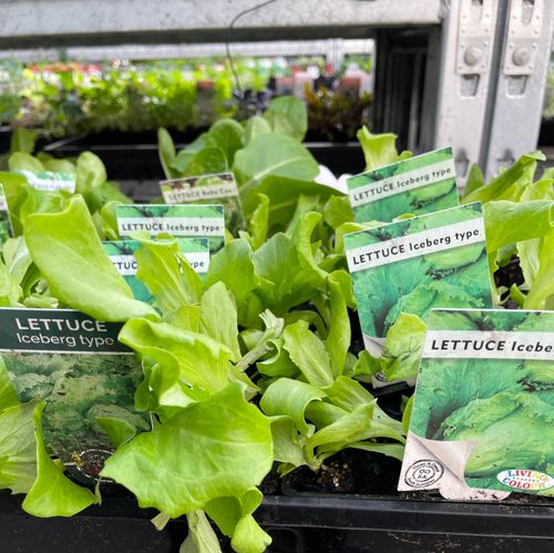 E5F0C5DA-CDA3-4A57-8280-9A3F07751804.jpeg E5F0C5DA-CDA3-4A57-8280-9A3F07751804.jpeg