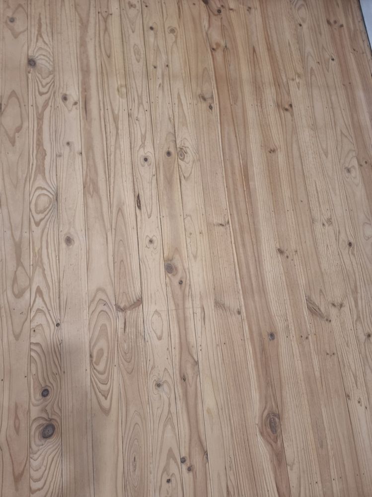 20250102_071612.jpg 20250102_071612.jpg