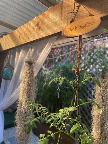 IMG_5830.jpeg IMG_5830.jpeg