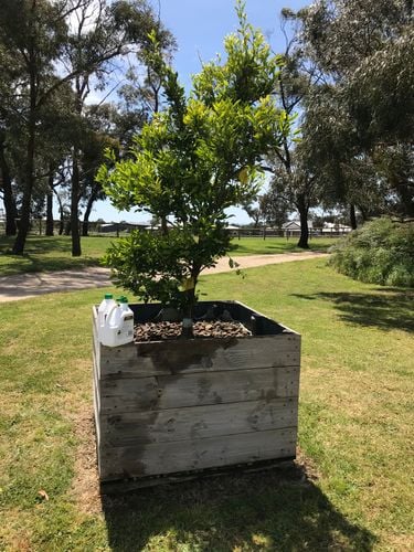 02356DA5-0252-4921-9A3C-773384CD2B6D.jpeg 02356DA5-0252-4921-9A3C-773384CD2B6D.jpeg