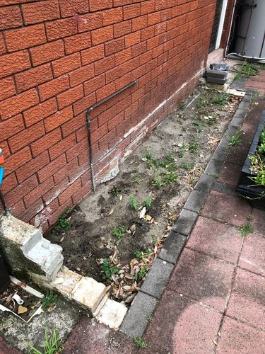 IMG_0560.jpeg IMG_0560.jpeg