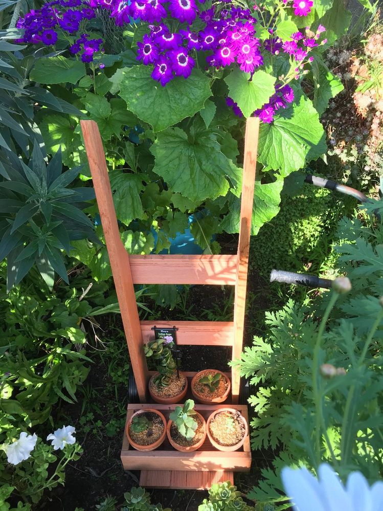 IMG_2913.jpg IMG_2913.jpg