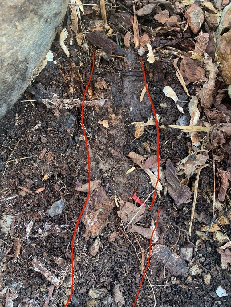 456089115_477707541748977_564395460559832210_n.jpg 456089115_477707541748977_564395460559832210_n.jpg