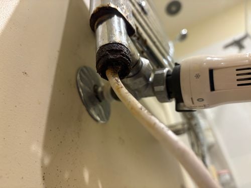 IMG_1524.jpeg IMG_1524.jpeg