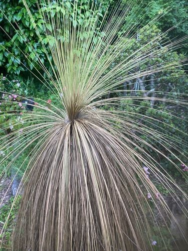 IMG_6693.jpeg IMG_6693.jpeg