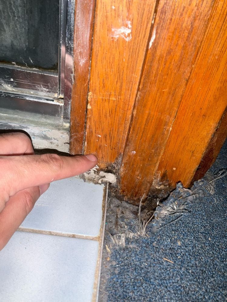 WhatsApp Image 2025-03-08 at 01.22.06 (1).jpeg WhatsApp Image 2025-03-08 at 01.22.06 (1).jpeg