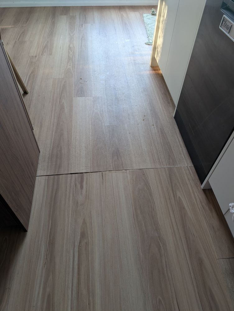 PXL_20260130_203323699.jpg PXL_20260130_203323699.jpg