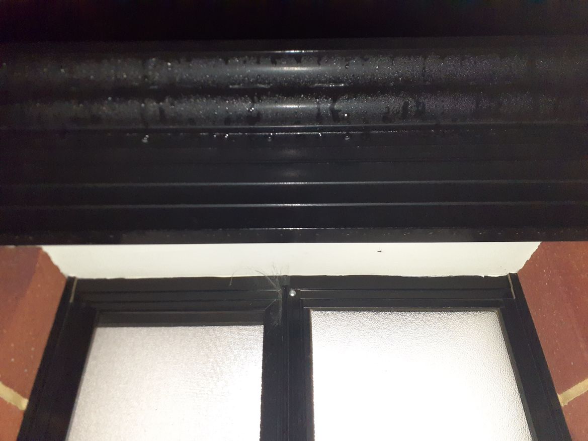 20240729_021518.jpg 20240729_021518.jpg