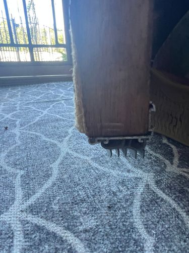 IMG_3047.jpeg IMG_3047.jpeg