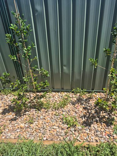 1000027216.jpg 1000027216.jpg