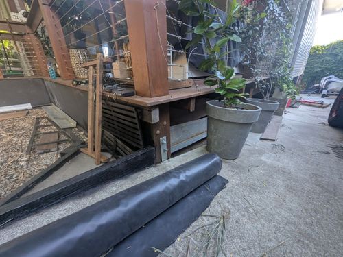 1000013514.jpg 1000013514.jpg