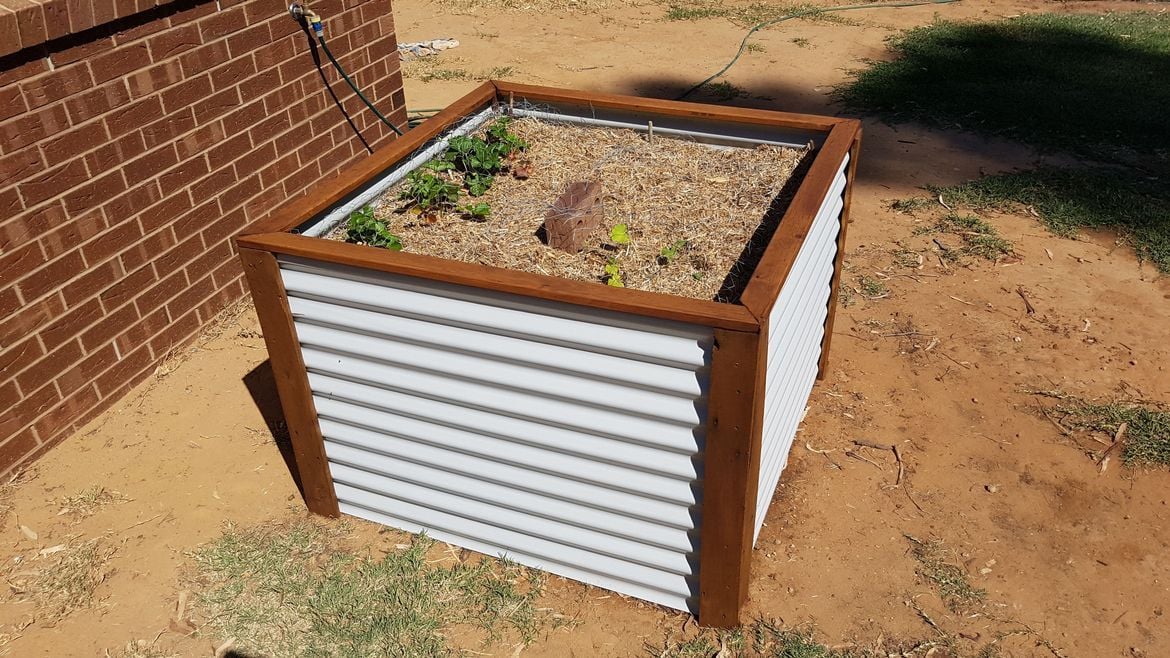 raised garden bed.jpeg raised garden bed.jpeg