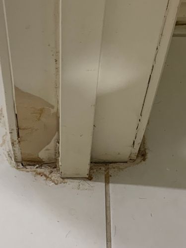 IMG_9478.jpeg IMG_9478.jpeg